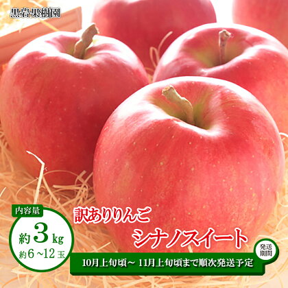 シナノスイート 訳ありりんご 約3kg (約6～12玉) 《黒岩果樹園》■2024年発送■※10月上旬頃～11月上旬頃まで順次発送予定 果物 フルーツ りんご