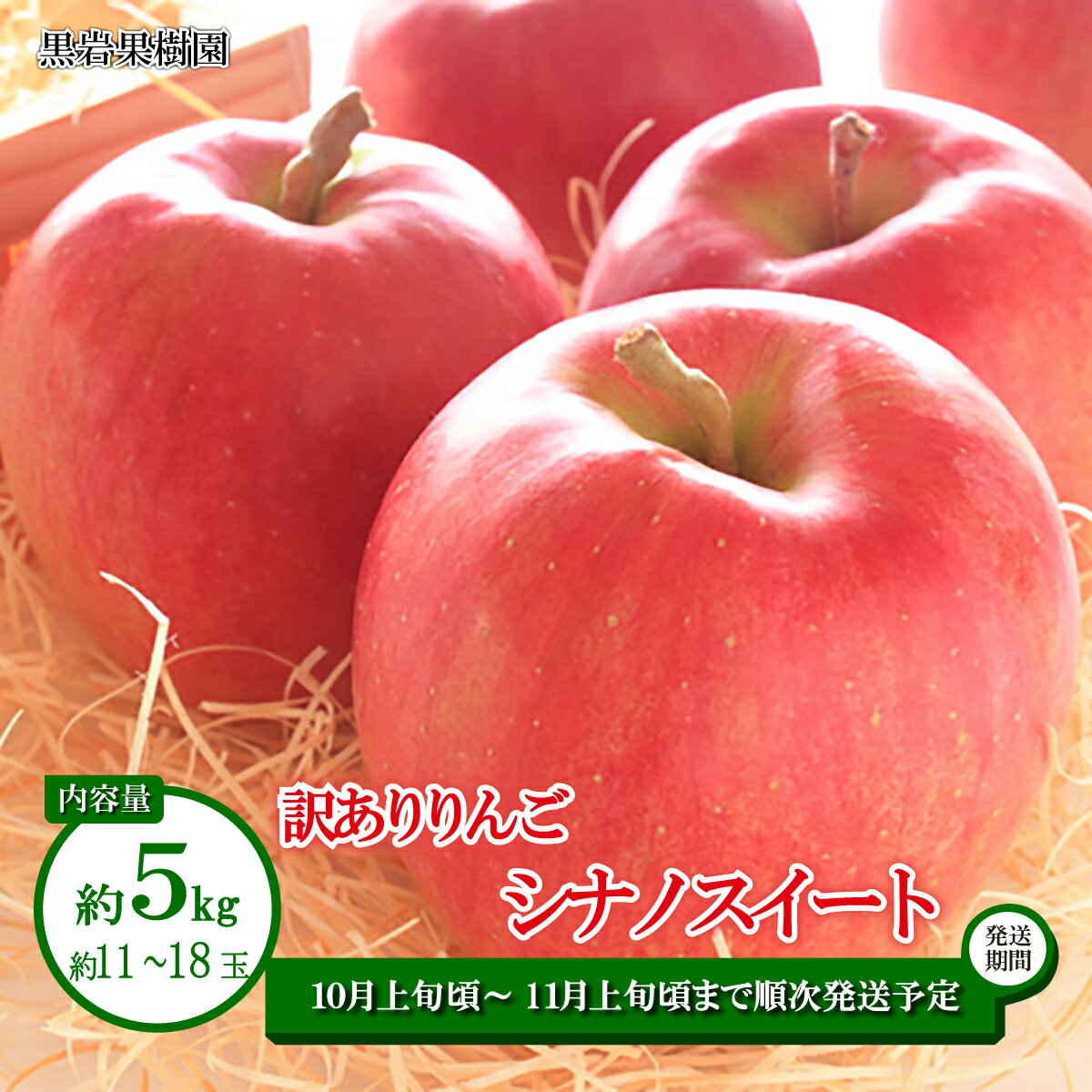 【ふるさと納税】シナノスイート 訳ありりんご 約5kg (約