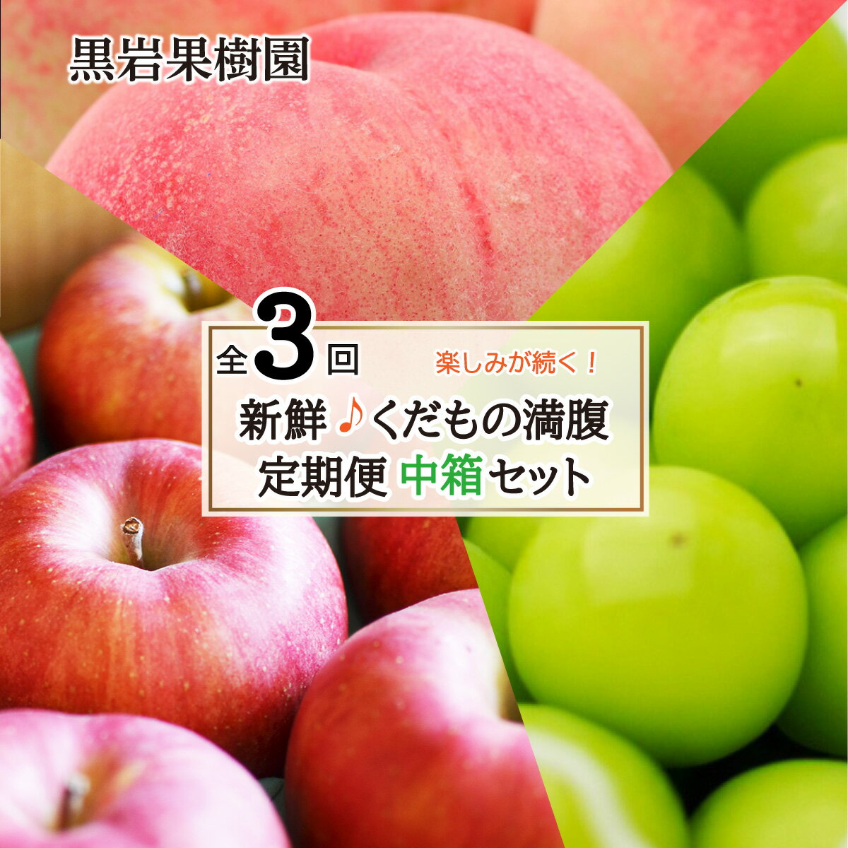 [新鮮♪くだもの満腹定期便(中箱セット)]桃・シャインマスカット・りんご 全3回(7〜8月・9〜10月・11〜12月)[黒岩果樹園] 2024年発送 ※7月中旬頃〜12月下旬頃まで順次発送予定 定期便