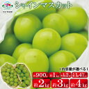 2位! 口コミ数「663件」評価「4.34」シャインマスカット【内容量が選択可能】900g 1kg 1.2kg 2kg 3kg 4kg 1.4kg以上（大房2房）《黒岩果樹園》■202･･･ 