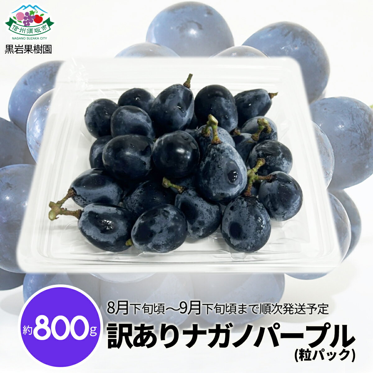 【ふるさと納税】訳ありナガノパープル (粒パック) 約800g《黒岩果樹園》■2025年発送■※8月下旬頃～9月下旬頃まで順次発送予定 ぶどう 訳あり 粒のサムネイル