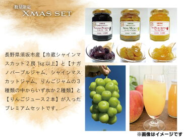 【ふるさと納税】【数量限定Xmasセット】Winterシャインマスカット2房1kg以上&Xmasプレミアムジャム2本&サンふじジュース2本《株式会社 信州須坂太田農園》■2021年発送■※12月上旬頃より順次発送予定 フルーツ 果物 ブドウ ぶどう リンゴ りんご ジャム ジュース
