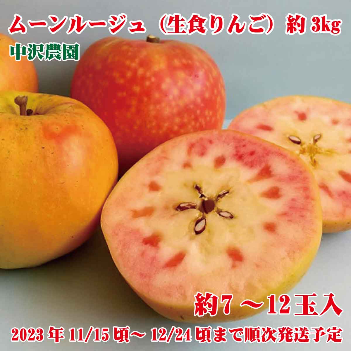 【ふるさと納税】ムーンルージュ（生食りんご）約3kg（約7～12玉）《中沢農園》■2023年発送■※11月中旬頃～12月下旬頃まで順次発送予定 フルーツ 果物 りんご リンゴ 林檎のサムネイル