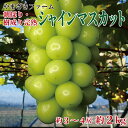 【ふるさと納税】【2022年度出荷分 先行予約】長野県産シャ