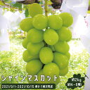 商品画像3