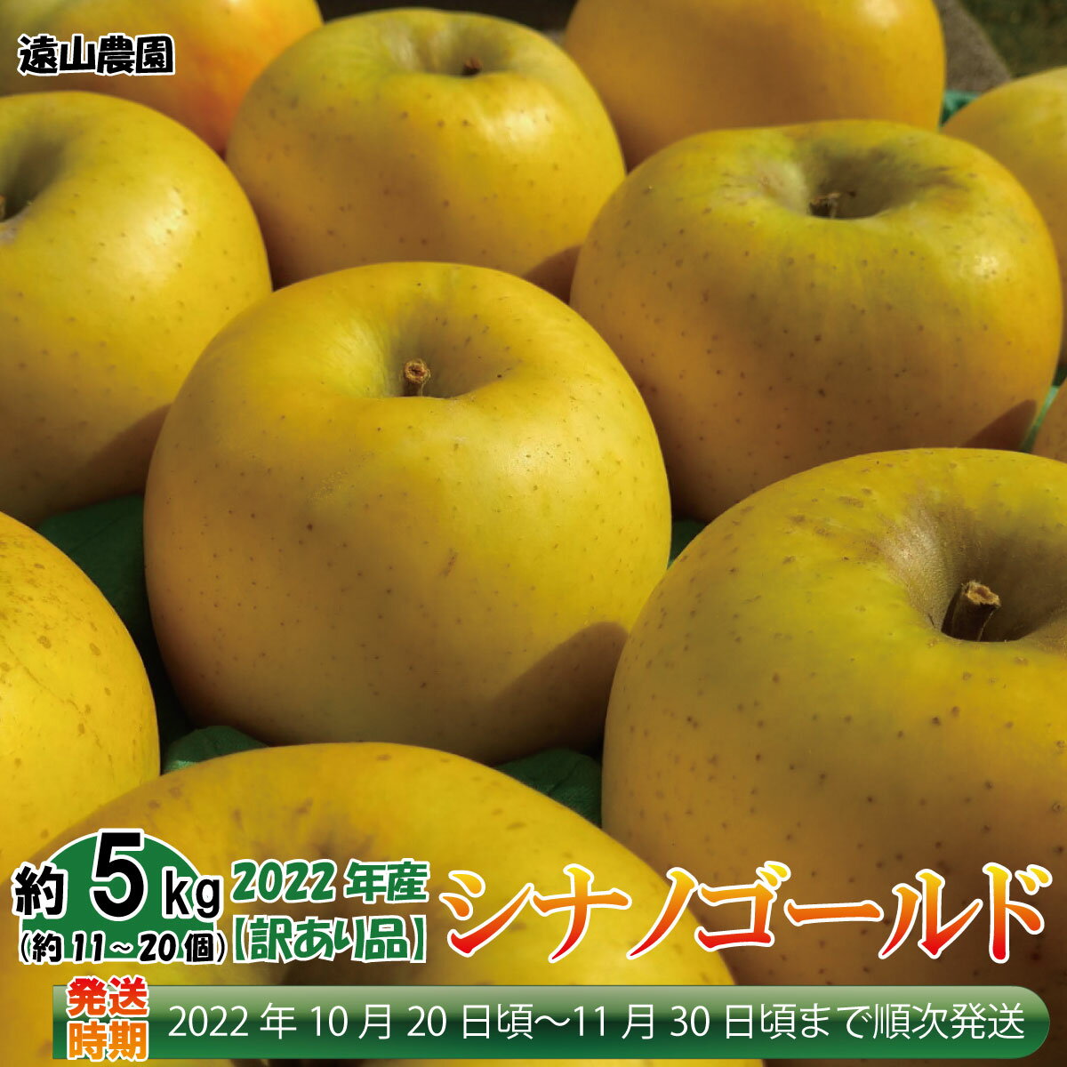 【ふるさと納税】2022年産【訳あり品】シナノゴールド 約5kg（約11～20個）《遠山農園》■2022年発送■※10月下旬頃～11月下旬頃まで順次発送予定 フルーツ 果物 りんご リンゴ 林檎 家庭用