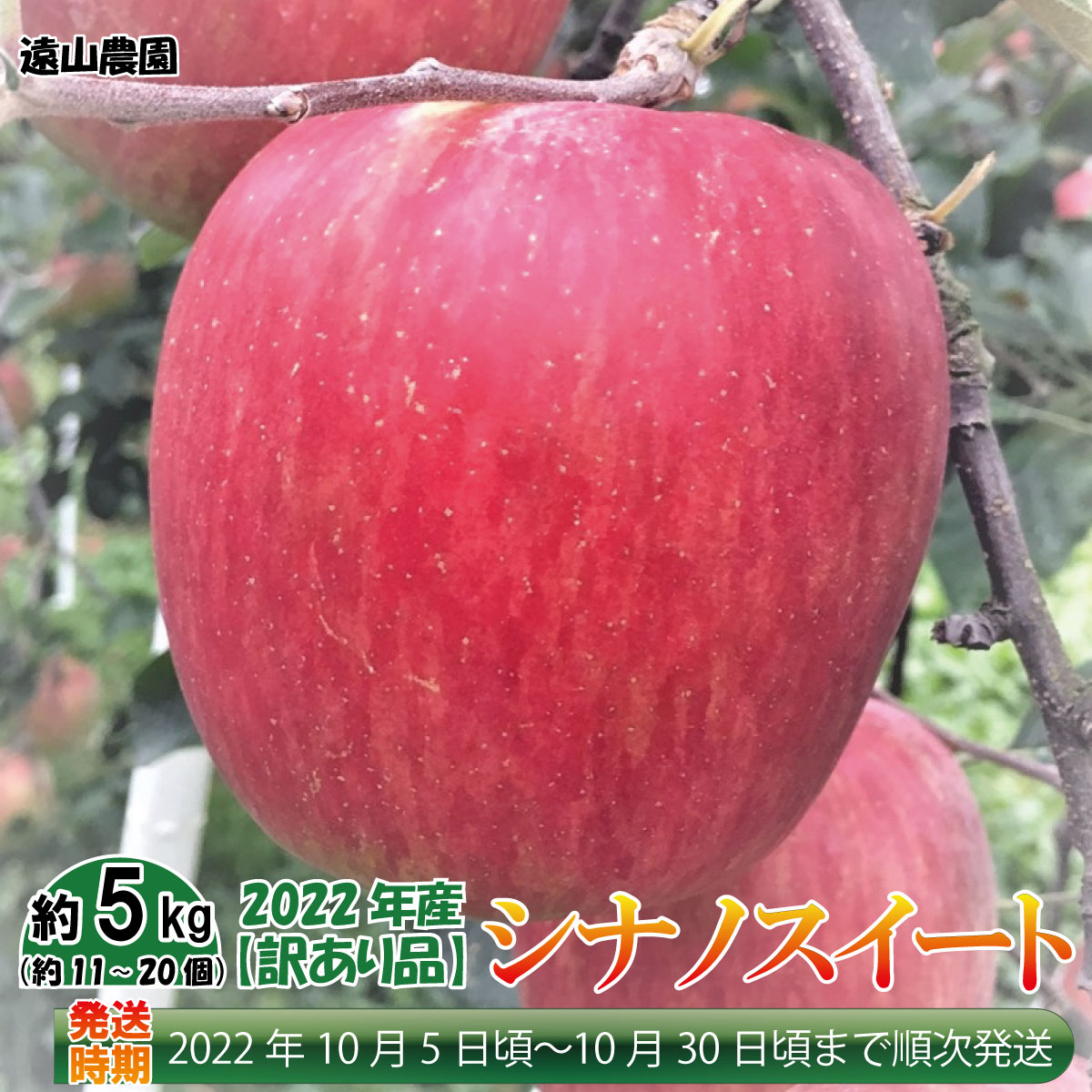 2022年産【訳あり品】シナノスイート《遠山農園》2022年発送※10月上旬頃~10月下旬頃まで順次発送予定 フルーツ 果物 りんご リンゴ 林檎 | ECナビふるさと納税返礼品検索 -ふるさと納税の返礼品をまるごと検索- 2022年産【訳あり品】シナノスイート《遠山農園》2022年発送※10月上旬頃~10月下旬頃まで順次発送予定 フルーツ 果物 りんご リンゴ 林檎 | ECナビふるさと納税返礼品検索 -ふるさと納税の返礼品をまるごと検索-