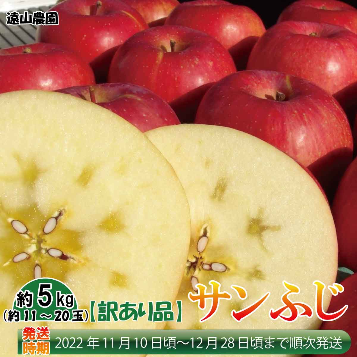 【ふるさと納税】【訳あり品】サンふじ約5kg(約11~20玉)《遠山農園》■2022年発送■※11月中旬頃~12月下旬頃まで順次発送予定フルーツ果物りんごリンゴ林檎訳あり家庭用