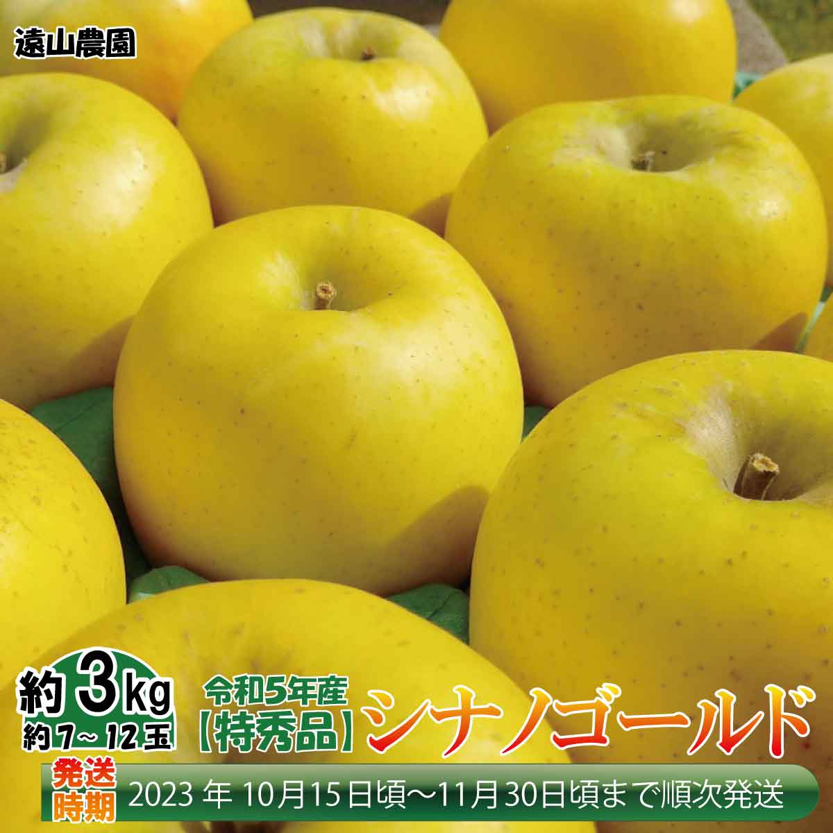 【ふるさと納税】2023年産【特秀品】シナノゴールド約3kg（約7～12玉）《遠山農園》■2023年発送■※10月中旬頃～11月下旬頃まで順次発送予定 フルーツ 果物 りんご リンゴ 林檎