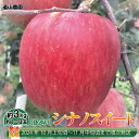 2024年産シナノスイート 約3kg（約7～12玉）《遠山農園》■2024年発送■※10月上旬頃～11月中旬頃まで順次発送予定 フルーツ 果物 りんご リンゴ 林檎