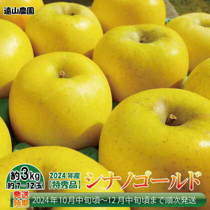 【先行予約】2024年産【特秀品】シナノゴールド約3kg（約7～12玉）《遠山農園》■2024年発送■※10月中旬頃～12月中旬頃まで順次発送予定 フルーツ 果物 りんご リンゴ 林檎