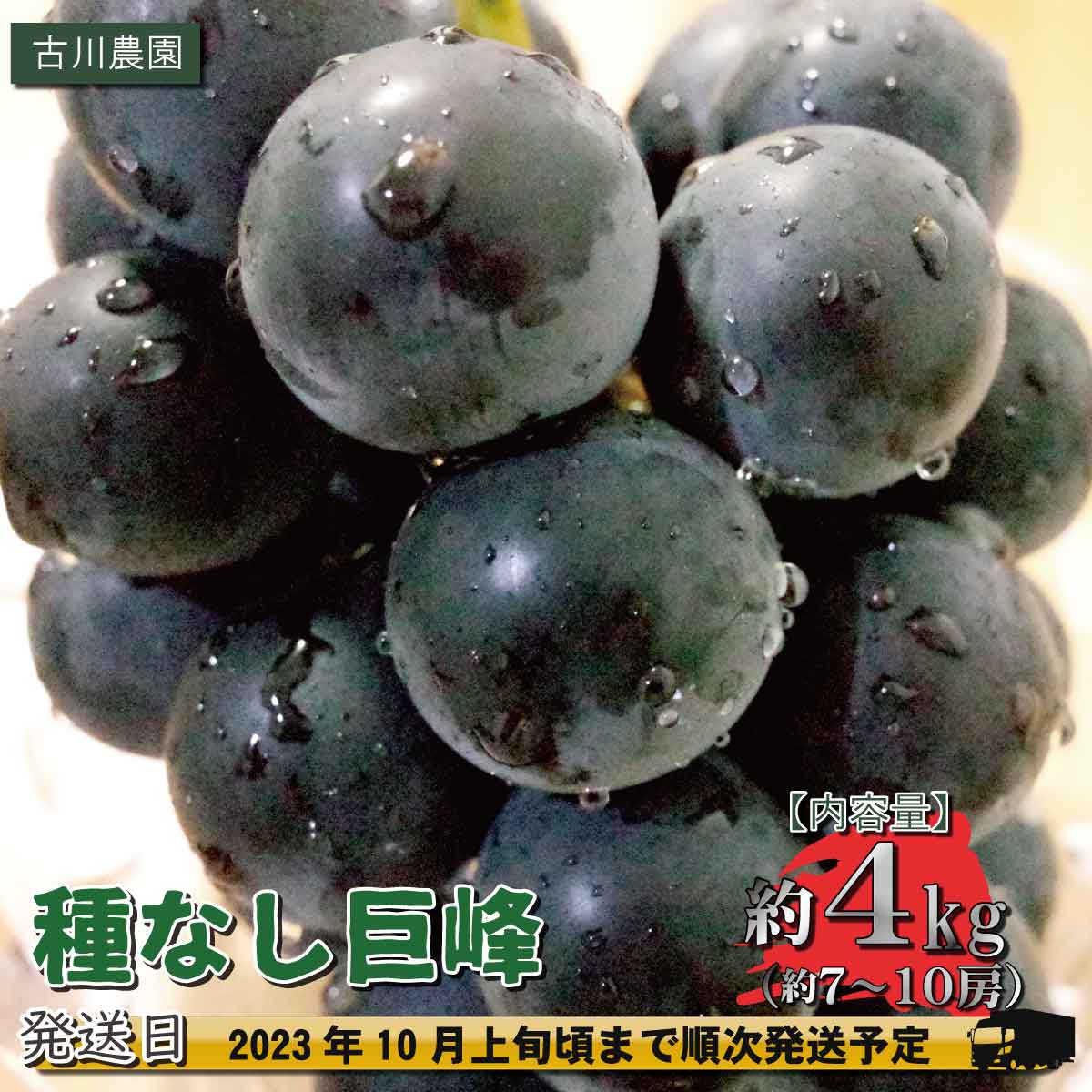 【ふるさと納税】種なし巨峰 約4kg（約7～10房）《古川農園》■2023年発送■※9月上旬頃～10月上旬頃まで順次発送予定 フルーツ 果物 ぶどう ブドウ 葡萄のサムネイル