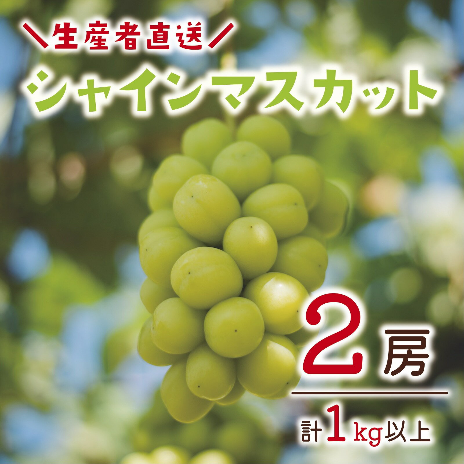 冷蔵 シャインマスカット 約1.3kg ぶどう 果物 《田子農園》2022年発送※11月上旬頃〜12月中旬頃まで順次発送予定 果物類 約2〜3房 フルーツ 冷蔵 シャインマスカット 約1.3kg ぶどう 果物 《田子農園》2022年発送※11月上旬頃〜12月中旬頃まで順次発送予定 果物類 約2〜3房 フルーツ