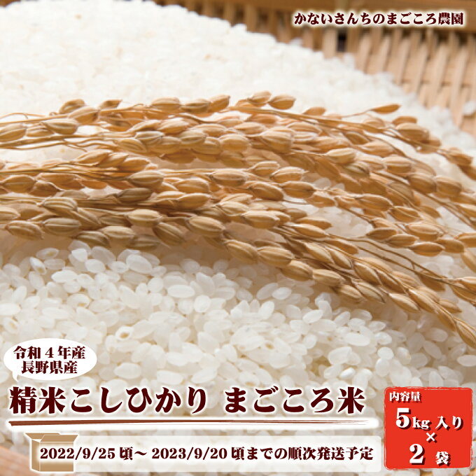 【ふるさと納税】令和4年産　長野県産精米こしひかり　まごころ米10kg（5kg入り×2袋）《かないさんちのまごころ農園》■2022年?2023年発送■※2022年9月下旬頃?2023年9月下旬頃まで順次発送予定 お米 コシヒカリ