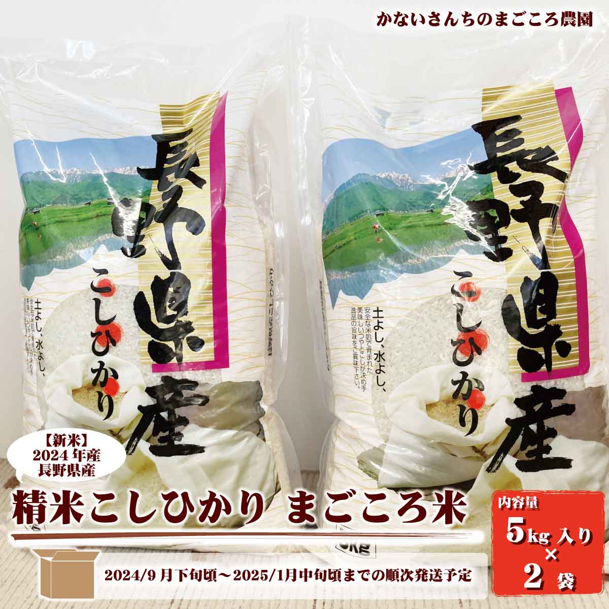 [新米]2024年産 長野県産精米こしひかり まごころ米10kg(5kg入り×2袋)[かないさんちのまごころ農園] 2024年〜2025年発送 ※9月下旬頃〜1月中旬頃まで順次発送予定 お米 コシヒカリ