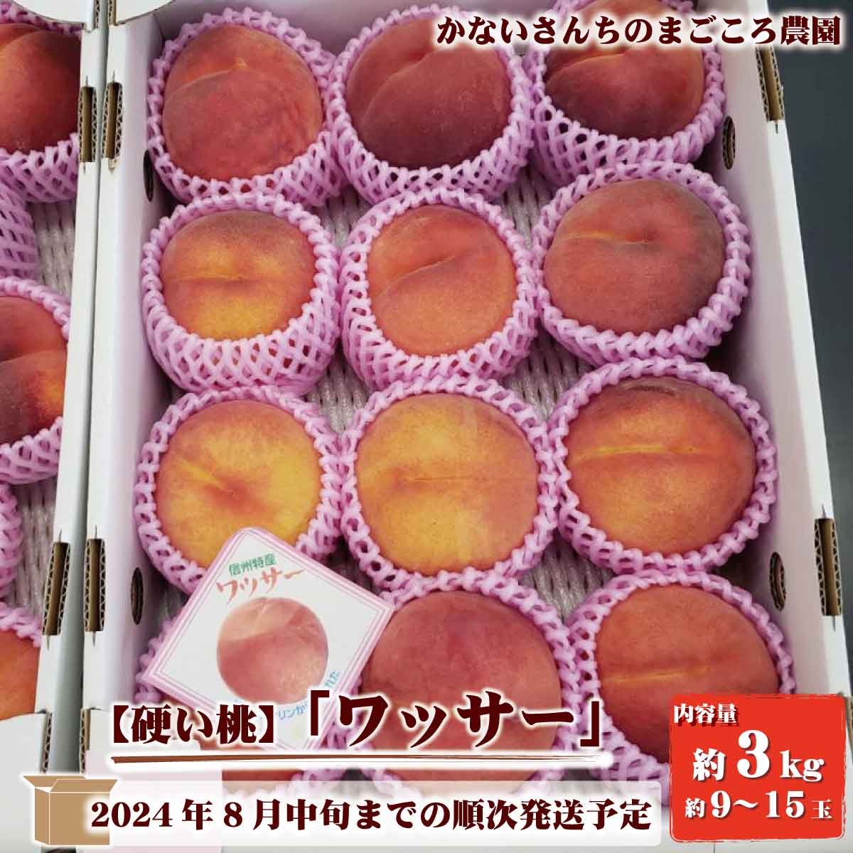 【ふるさと納税】【硬い桃】ワッサー約3kg（約9～15玉）《かないさんちのまごころ農園》■2024年発送■※7月下旬頃～8月中旬頃まで順次発送予定 果物 もも フルーツ