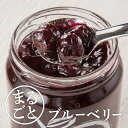 11位! 口コミ数「0件」評価「0」まるごとブルーベリージャム 計4本（大瓶400g×2本　小瓶190g×2本）《信州うちやま農園》 フルーツ 果物 ブルーベリー ジャム