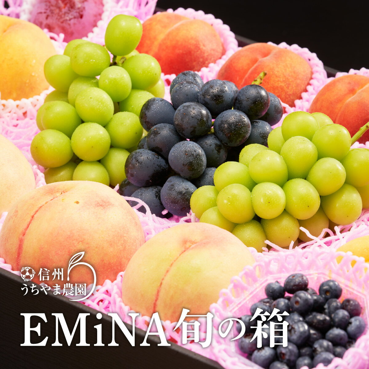 【ふるさと納税】【夏に届く】EMiNA旬の箱(4〜5種類)（600g以上のシャインマスカット2房＋600g以上のナガノパープル1房が必ず入ります）《信州うちやま農園》■2024年発送■※7月下旬頃～9月上旬頃までの順次発送予定 フルーツ りんご ぶどう 桃 もも 詰合せ