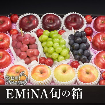 【ふるさと納税】【秋に届く】EMiNA旬の箱(4~7種類)(600g以上のシャインマスカット1房+600g以上のナガノパープル1房+600g以上のクイーンルージュ®1房が必ず入ります)《信州うちやま農園》■2022年発送■※9月下旬頃~11月上旬頃までの順次発送予定 フルーツ 詰合せ