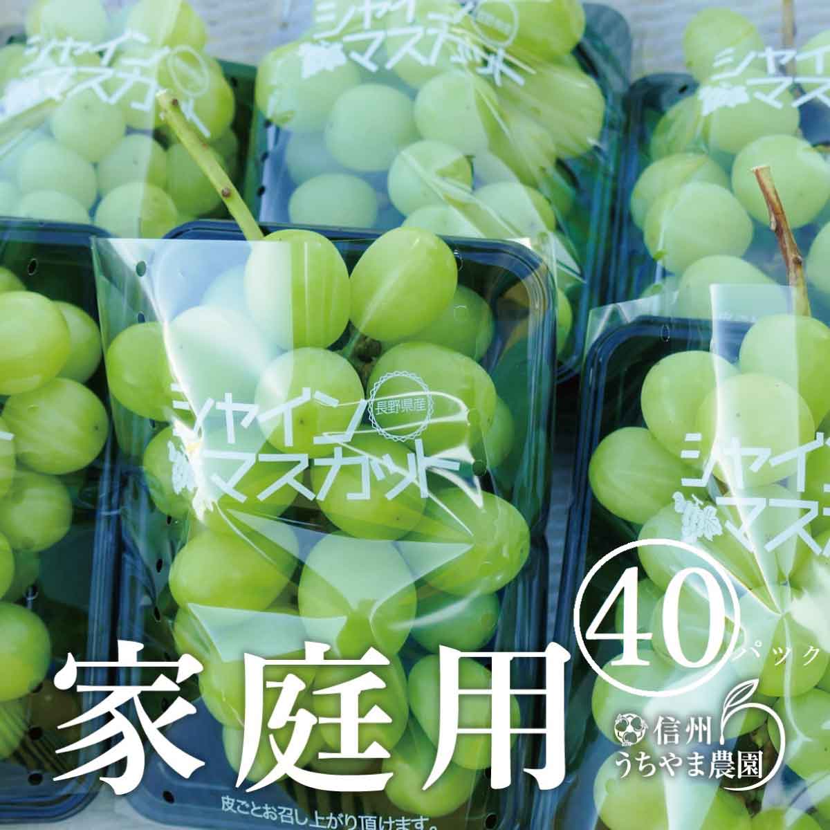 【ふるさと納税】先行受付【家庭用 パック詰め】シャインマスカット（約350g×40パック)《信州うちやま農園》■2022年発送■※10月20日頃～10月31日頃まで順次発送予定 フルーツ 果物 ぶどう ブドウ 葡萄 シャインマスカット 家庭用