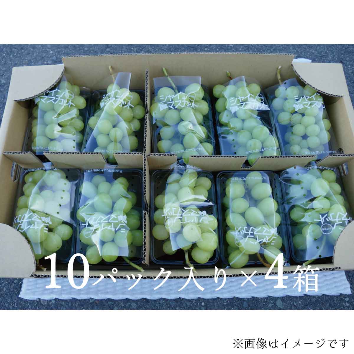 【ふるさと納税】先行受付【家庭用 パック詰め】シャインマスカット（約350g×40パック)《信州うちやま農園》■2022年発送■※10月20日頃～10月31日頃まで順次発送予定 フルーツ 果物 ぶどう ブドウ 葡萄 シャインマスカット 家庭用