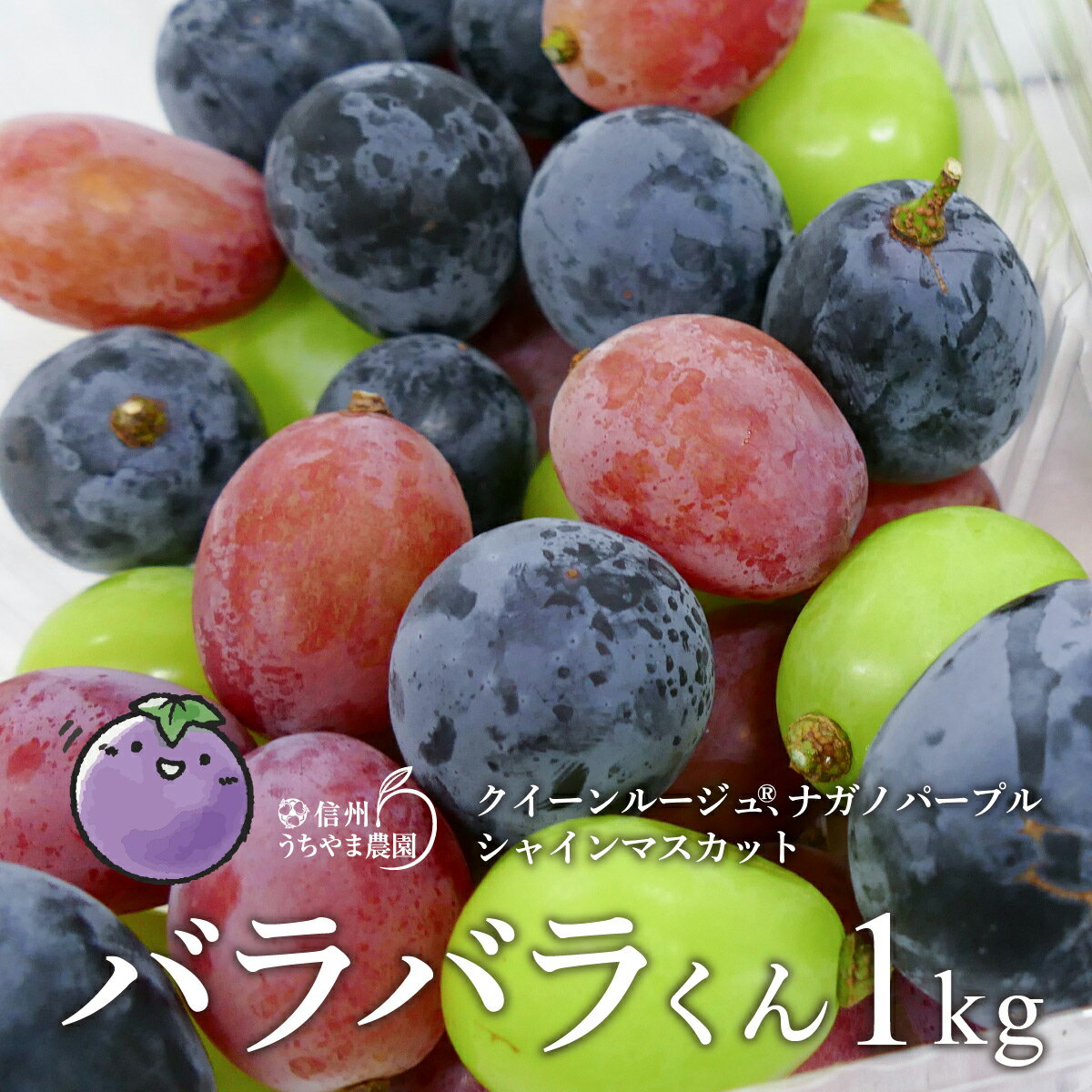 【ふるさと納税】【先行受付】バラバラくん3色セット 約1kg(ナガノパープル・クイーンルージュ® ・シャインマスカット)《信州うちやま農園》■2024年発送■※8月下旬頃～10月下旬頃まで順次発送予定 訳あり フルーツ 果物 ぶどう ブドウ 葡萄のサムネイル
