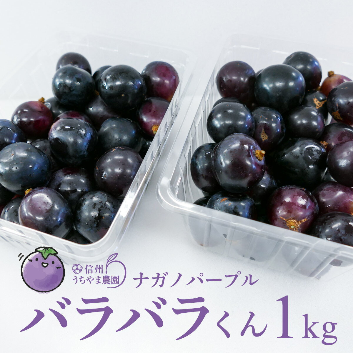 【ふるさと納税】【先行受付】数量限定 訳あり ナガノパープル（バラバラ君）約1kg《信州うちやま農園》■2024年発送■…