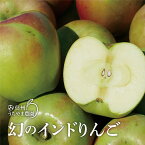 【ふるさと納税】幻の印度りんご！約5kg（約14～20玉）《信州うちやま農園》■2024年発送■※11月上旬頃～11月下旬頃まで順次発送予定 フルーツ 果物 りんご リンゴ 林檎