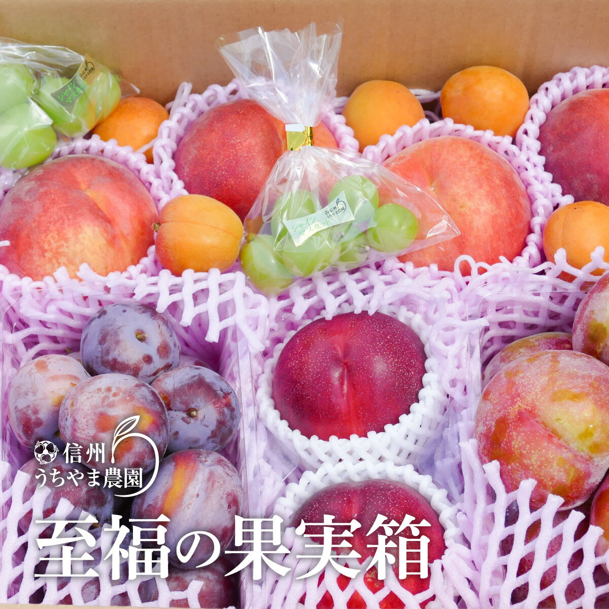 【ふるさと納税】【夏に届く】至福の果実箱A（3～5種類＋シャ