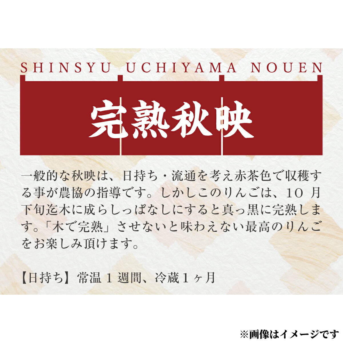 【ふるさと納税】甘さも酸味も強め！信州の代表格『木成完熟秋映』約5kg（約12～16個）《信州うちやま農園》■2022年発送■※10月中旬頃～10月下旬頃まで順次発送予定 フルーツ 果物 りんご リンゴ 林檎