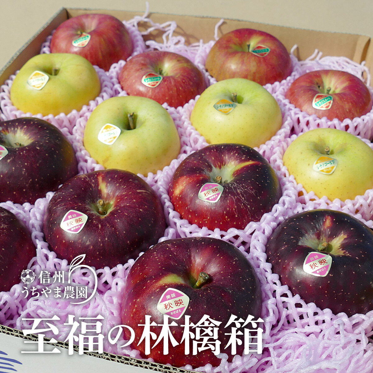 【ふるさと納税】至福の林檎箱B（旬のりんご 約4.5～5kg