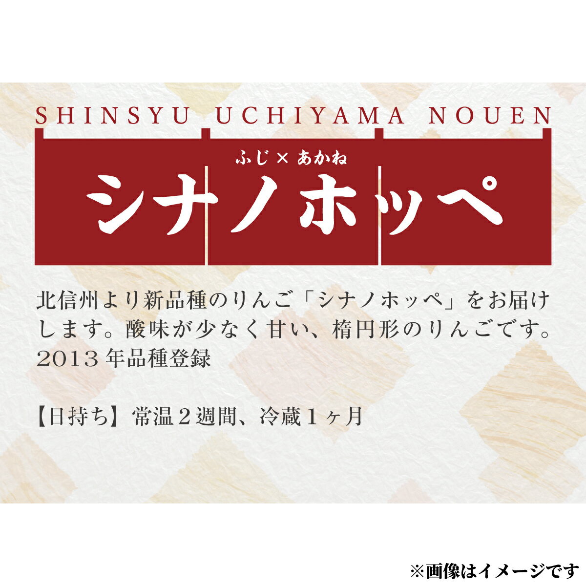 【ふるさと納税】ほっぺたが落ちるほどに美味しい『シナノホッペ』約5kg（約12～16個）《信州うちやま農園》■2022年発送■※11月上旬頃～11月下旬頃まで順次発送予定 フルーツ 果物 りんご リンゴ 林檎