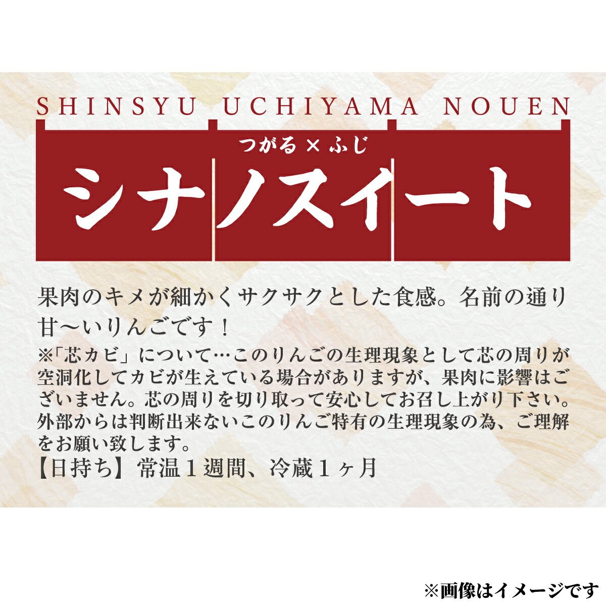 【ふるさと納税】甘～いりんご『シナノスイート』約5kg（約12～16玉）《信州うちやま農園》■2024年発送■※10月上旬頃～10月下旬頃まで順次発送予定 フルーツ 果物 りんご リンゴ 林檎