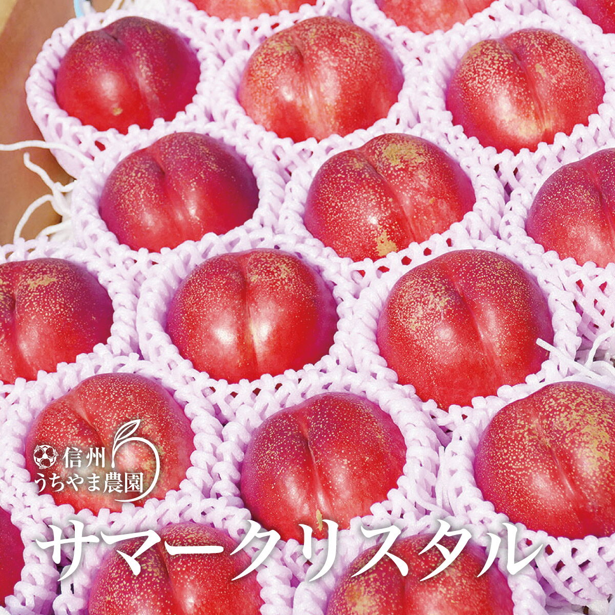 【ふるさと納税】サマークリスタル 約1.5～2kg (約10～13玉) 《信州うちやま農園》■2024年発送■※7月上旬頃～7月下旬頃まで順次発送予定 フルーツ 果物 ネクタリン スイートネクタリンのサムネイル