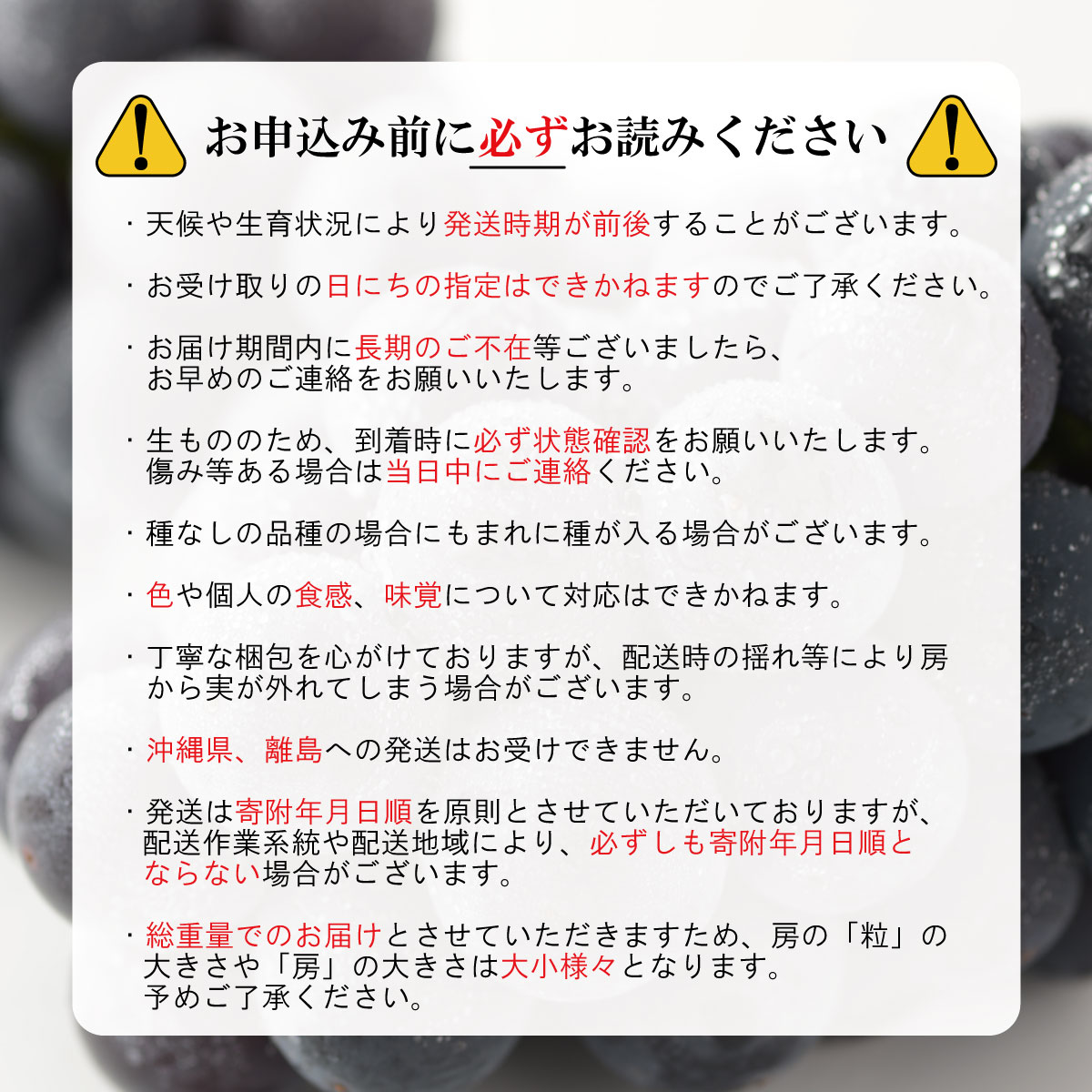 【ふるさと納税】ナガノパープル 約2kg（約3～6房）《いわぶちふぁーむ》■2024年発送■※8月下旬頃～9月下旬頃まで順次発送予定 フルーツ 果物 ぶどう ブドウ 葡萄