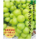 【ふるさと納税】須坂市産 シャインマスカット 約1kg（約2