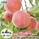 【ふるさと納税】訳ありワッサー約4kg（約8～22玉）硬めの桃《土屋農園》■2024年発送■※7月下旬頃～8月中旬頃まで順次…