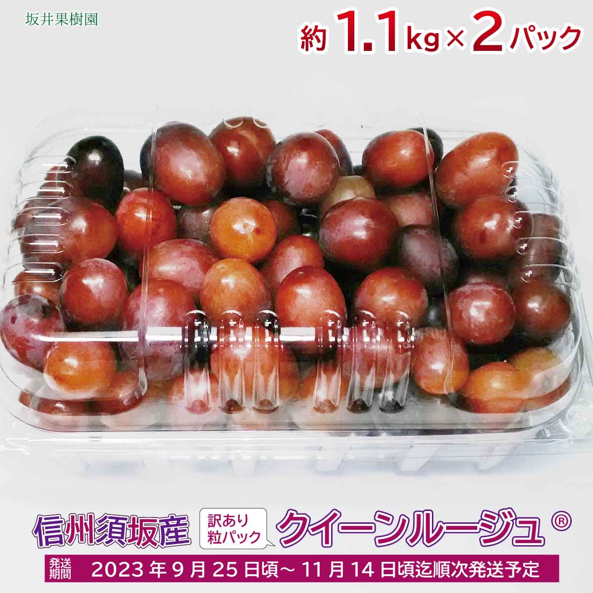 【ふるさと納税】訳あり信州須坂産クイーンルージュ® 粒パック 約1.1kg×2パック 合計約2.2kg《坂井果樹園》■2023年発送■※9月下旬頃～11月中旬頃まで順次発送予定 果物 ぶどう フルーツ 果物類のサムネイル