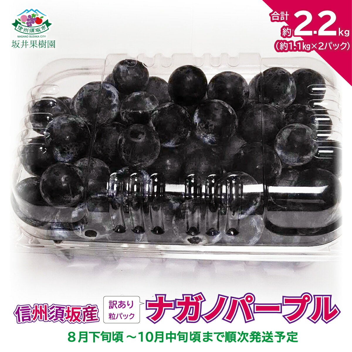 【ふるさと納税】信州須坂産 訳ありナガノパープル 粒パック 合計約2.2kg(約1.1kg×2パック)《坂井果樹園》■2024年発送■※8月下旬頃～10月中旬頃まで順次発送予定 果物 ぶどう フルーツ 果物類のサムネイル