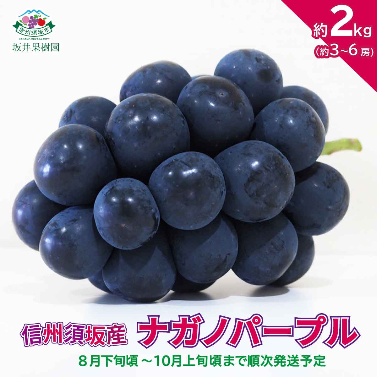 【ふるさと納税】信州須坂産 ナガノパープル約2kg（約3～6房）《坂井果樹園》■2023年発送■※9月上旬頃～10月中旬頃まで順次発送予定 果物 ぶどう フルーツ 果物類のサムネイル