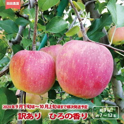 【ふるさと納税】訳あり ひろの香り 約3kg（約7～12玉）《田田農園》■2024年発送■※9月下旬頃～10月上旬頃まで順次発送予定 果物 フルーツ 林檎 りんご リンゴ