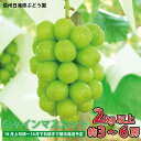 【ふるさと納税】シャインマスカット2kg以上（約3～6房）《信州日滝原ぶどう園》■2023年発送■※10月上旬頃～10月下旬頃まで順次発送予定 果物 フルーツ ぶどう シャインマスカット･･･