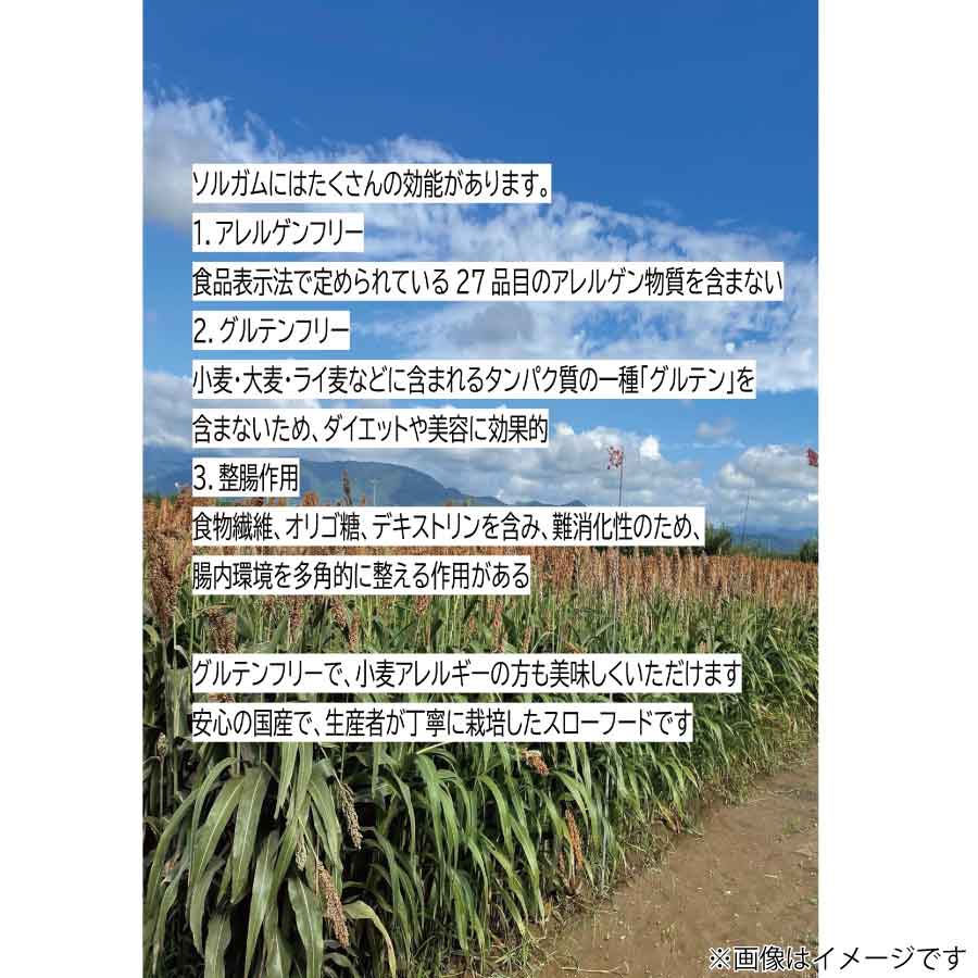 【ふるさと納税】2023年度産　信州産　ソルガム（500g）とホワイトソルガム粉（400g）セット　添加物・農薬不使用・グルテンフリー・アレルゲンフリー・健康食品・美容・小麦不使用・お菓子材料《NGLナチュラルグリーンラボ》お米