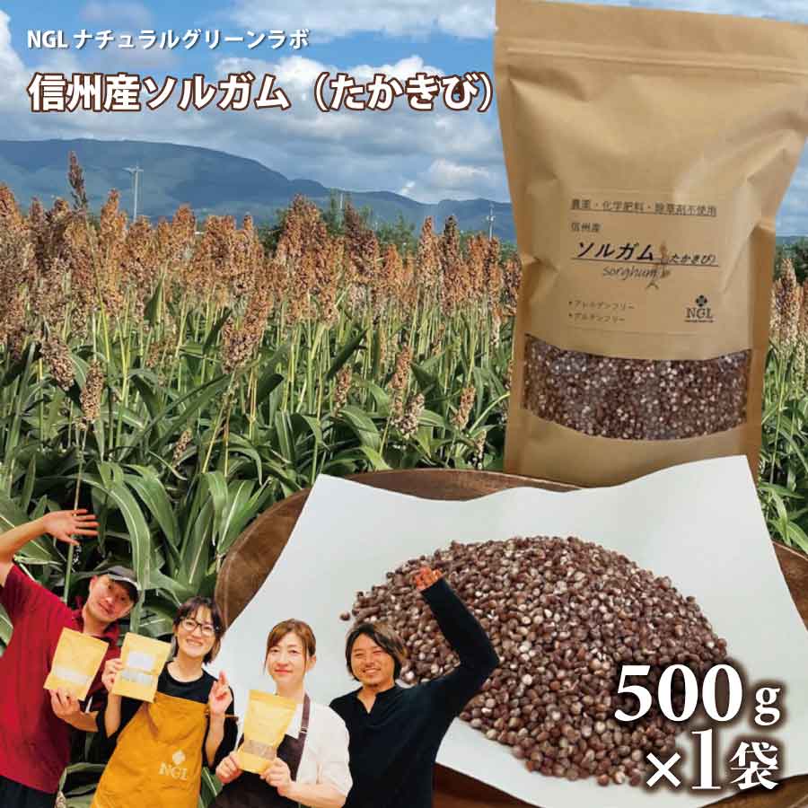 2023年度産 信州産 ソルガム(たかきび)500g×1袋 添加物・農薬不使用・グルテンフリー・アレルゲンフリー[NGLナチュラルグリーンラボ] お米