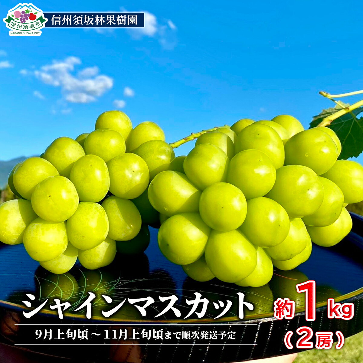 【ふるさと納税】シャインマスカット約1kg（約2～3房）《信州須坂林果樹園》■2023年発送■※9月下旬頃～11月上旬頃まで順次発送予定 フルーツ 果物 ブドウ ぶどう シャインマスカット 先行予約 予約のサムネイル