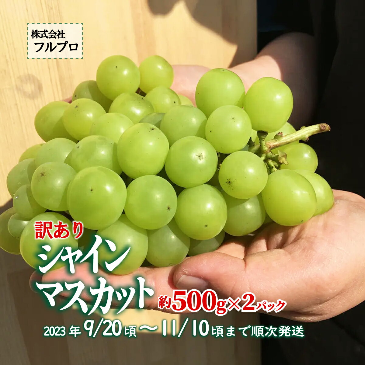 【ふるさと納税】【訳あり】シャインマスカット（約500g×2パック）皮ごとパクっと食べられるぶどう！《株式会社フルプロ》 ■2023年発送■※9月中旬頃～11月上旬頃まで順次発送予定 フルーツ 果物 ぶどう ブドウ 葡萄 シャインマスカットのサムネイル