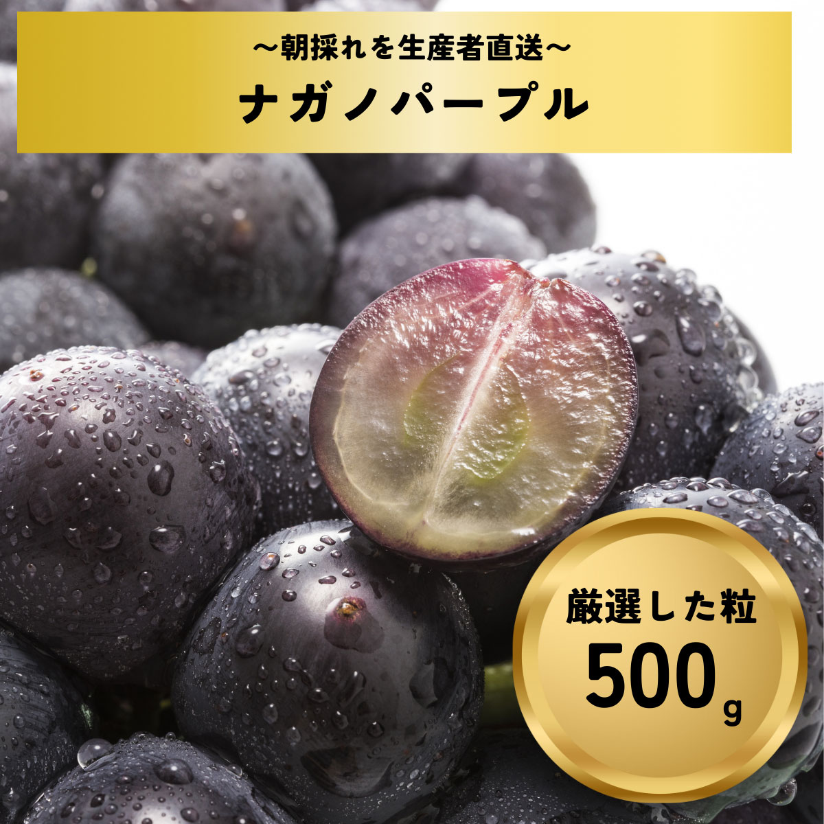【ふるさと納税】まるごとパクッ！ナガノパープル 粒 約500g (約30～40粒) 《なかむら果実園》■2024年発送■※8月中旬頃～9月下旬頃まで順次発送予定 産地直送 数量限定 期間限定 種なし 種無し ぶどう ブドウ 葡萄 果物 フルーツ パープル ながのパープル 粒のサムネイル
