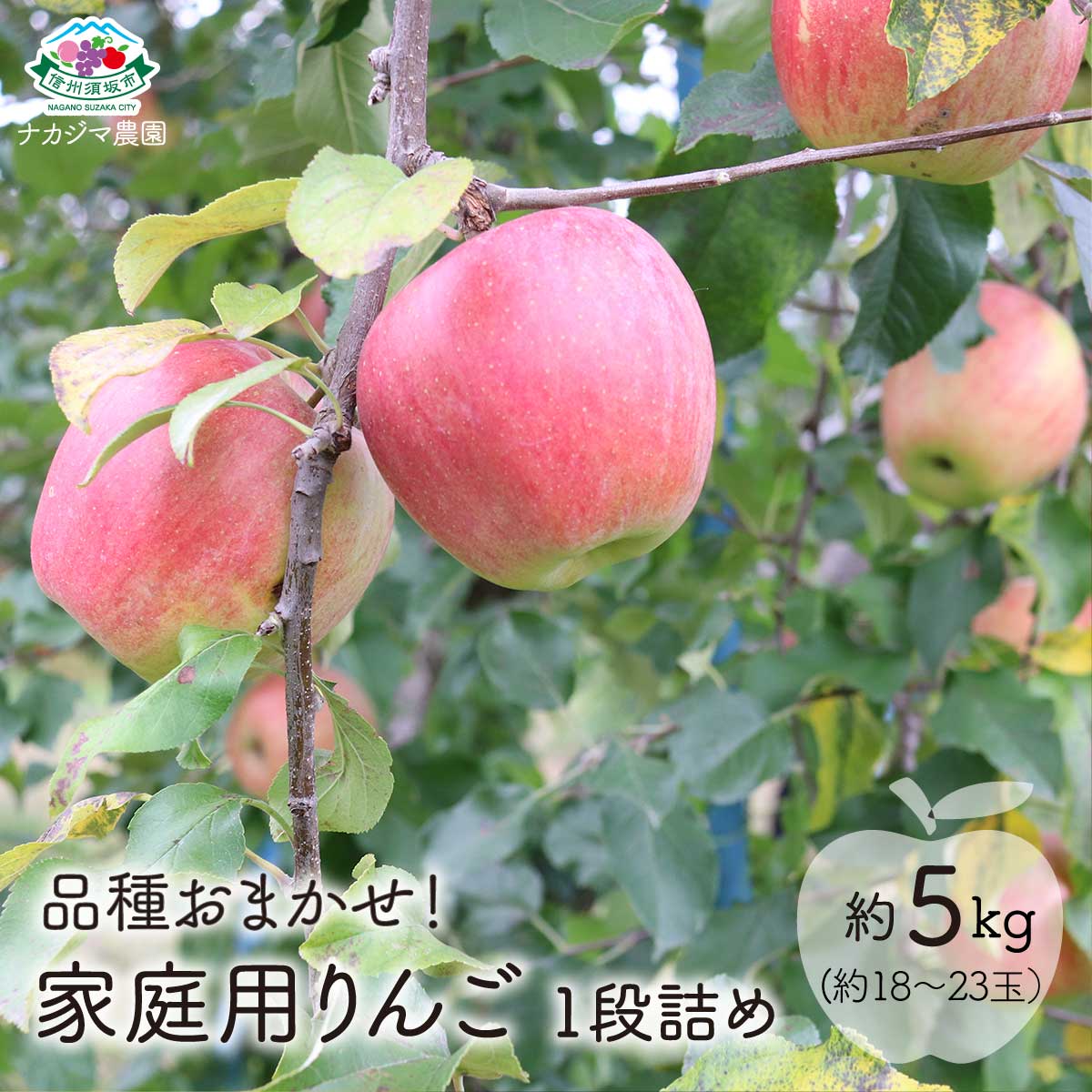 【ふるさと納税】【品種おまかせ】家庭用りんご 1段詰め 約5