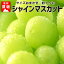 【ふるさと納税】☆先行予約【新鮮果実】人気のシャインマスカット 約1.5kg 【果物・ぶどう・フルーツ・果物類・フルーツ・果物・ぶどう・フルーツ】 お届け:2020年9月10日〜10月31日