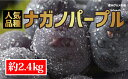 【ふるさと納税】☆先行予約≪人気の皮ごと≫ナガノパープル 約...